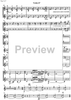Contrabbasso concertante - Violin 2