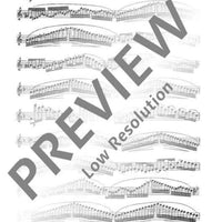 30 Virtuoso Etudes in all major and minor keys