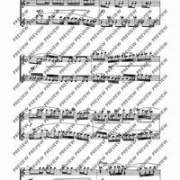 Nine flute duets - Performing Score