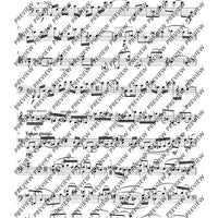 Introduction and Scherzino