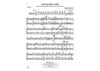 Little Boy Lost - Cello