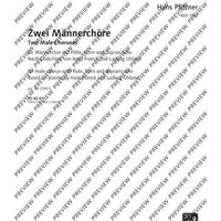 Zwei Männerchöre - Score (also Performing Score)