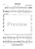 Andante (from Prince Igor) - Flute