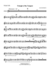 Triangle of the Tempest - Bb Trumpet 2
