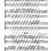 The Flourishing Baroque Period - Performing Score