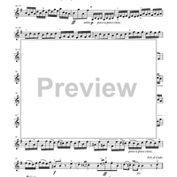 Suzuki Violin School, Volume 6 - Violin Part