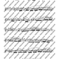 Variationen über „Nel cor più non mi sento“