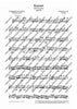 Concerto E Minor - Set of Parts