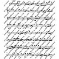 Concerto E Minor - Set of Parts