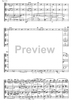 Piccolo divertimento - Score