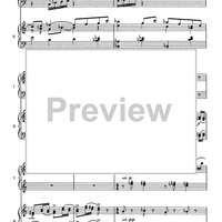 Youth Concerto "A Festival"