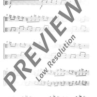 Concento di corde - Performing Score