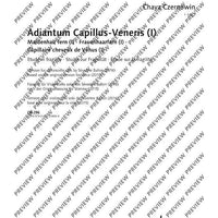 Adiantum Capillus-Veneris I (Maidenhair fern I)