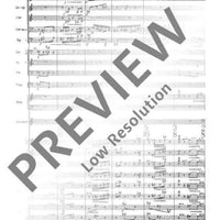 Concerto per contrabbasso ed orchestra - Full Score