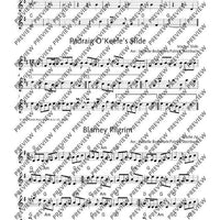 The Irish Flute Book