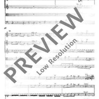 Concerto C Major - Full Score