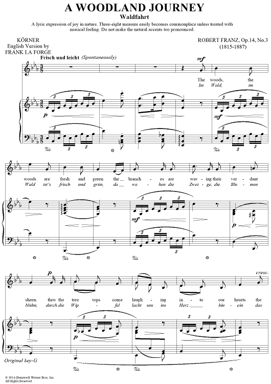 A Woodland Journey (Waldfahrt)