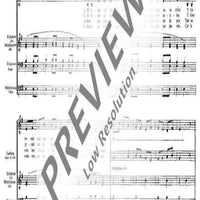 13 fois bonheur - Performing Score