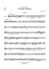 Circuite Suicus - Trumpet 3