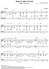 Jesus, Lamb of God (How I Love You)