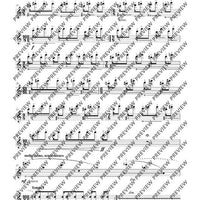 The Flute Expedition