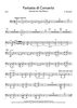 Fantasia di Concerto - Tuba