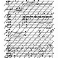 Concerto E Major - Score