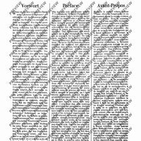 100 Technical Paraphrases on Kreutzer-Etudes