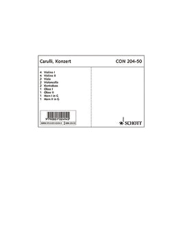 Concerto E Minor - Set of Parts