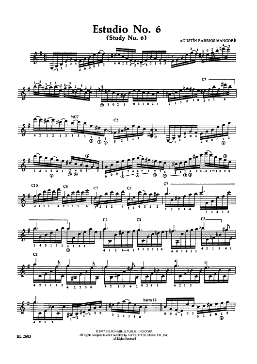 Estudio No. 6 (Study No. 6)