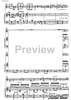 Concerto for guitar and strings - Score