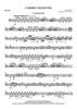 Carmen Vignettes - Bassoon