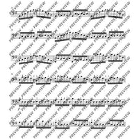 12 Etudes-Caprices caractéristiques