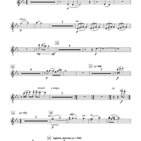 Breaking Point - Flute 1