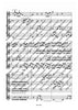 Album with Music for the big (parforce) hunting horn - Performing Score