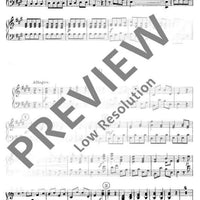 Concerto E Major - Harpsichord