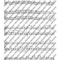 Duo D major - Performing Score