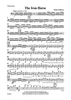 The Iron Horse - Cello