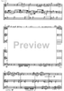 Danses de Zaira - Score