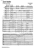 Jarní Hudba - Score
