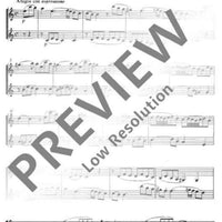 2 Duos - Performing Score