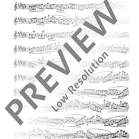 30 Virtuoso Etudes in all major and minor keys