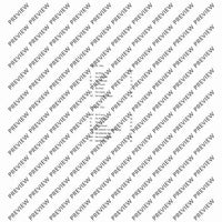 El Cimarrón - Performing Score