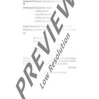 Concerto d minor - Organ Reduction