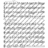 Tambourin - Set of Parts