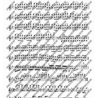 100 Technical Paraphrases on Kreutzer-Etudes