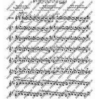 100 Technical Paraphrases on Kreutzer-Etudes