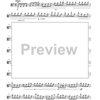 Suzuki Viola School, Volume 5 - Viola Part