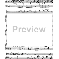 Suzuki Violin School, Volume 9 - Piano Accompaniment