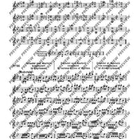 100 Short Technical Paraphrases on Kayser's Etudes